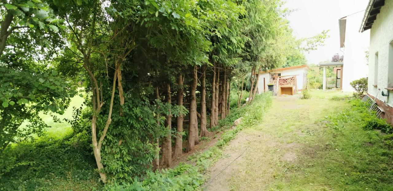 Gemuetliches Ferienhaus "An Der Schilde" In Renzow Extérieur photo